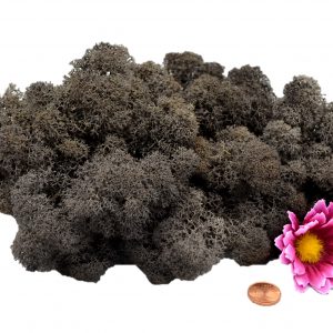 Muwse Islandmoos Dunkelgrau 50 g Maßstab Spur 1 Modellbau