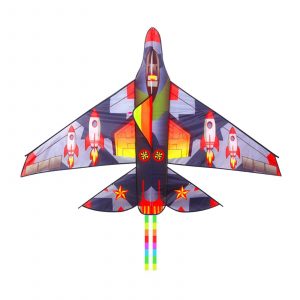 Bdt Drachen, Einleiner, Kite für Kind und Erwachsene *Flugzeug* inkl. 30m Leine, 156x115cm