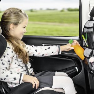 reer TravelKid Tidy Autorücksitz-Organizer