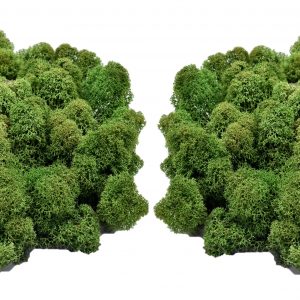 Muwse Islandmoos Tannengrün 100 g Maßstab Spur H0 Modellbau