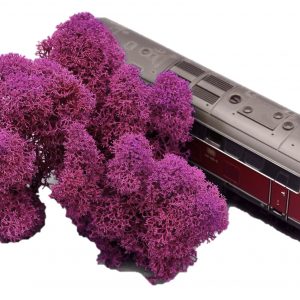 Muwse Islandmoos Veilchen Pink 10 g Maßstab Spur H0 Modellbau