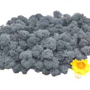 Muwse Islandmoos Titangrau 100 g Maßstab Spur 0 Modellbau