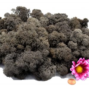 Muwse Islandmoos Dunkelgrau 100 g Maßstab Spur 0 Modellbau