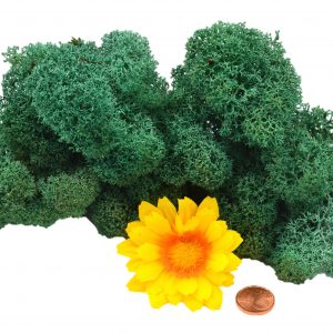 Muwse Islandmoos Kieferngrün 25 g Maßstab Spur 0 Modellbau